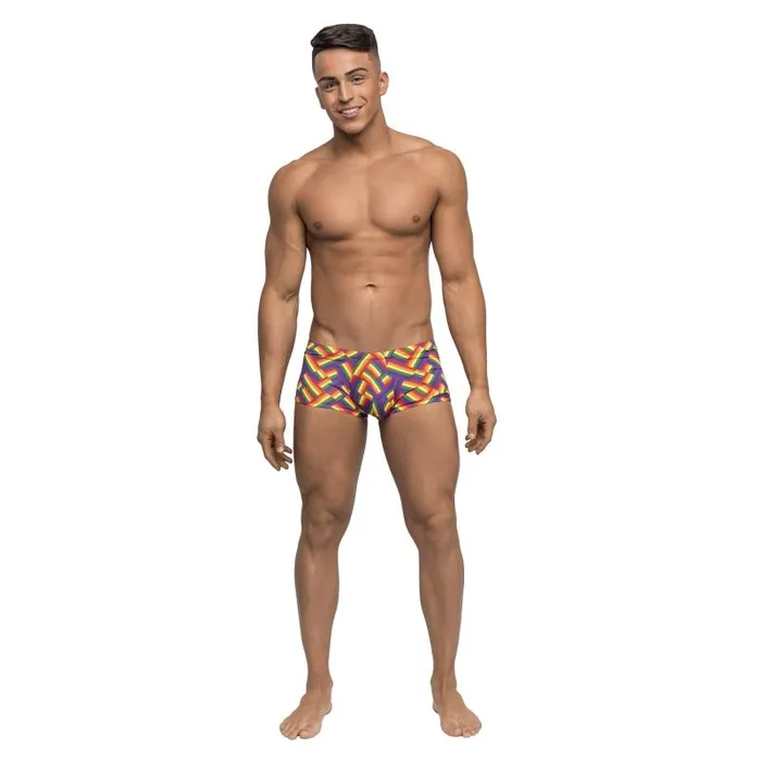 Male Power Female Sex Toys Pride Fest Mini Short Medium Print Male Power Female Sex Toys Pride Fest Mini Short Medium Print